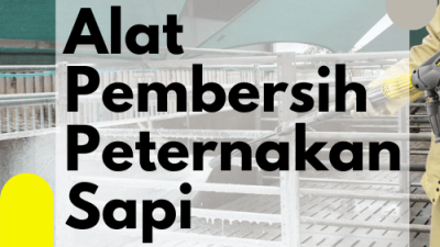 Alat Pembersih Peternakan Sapi_ Alat Pembersih Kandang Sapi
