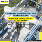 Cara Efektif Membersihkan Lumut Dinding dengan HD 5 15 C PLUS