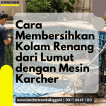 cara membersihkan kolam renang