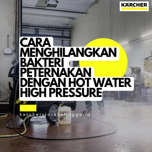 Cara Menghilangkan Bakteri Peternakan Dengan Hot Water High Pressure