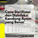 Cara Sterilisasi dan Disinfeksi Kandang Ayam yang Benar_Cara Bersihkan Kandang Ayam